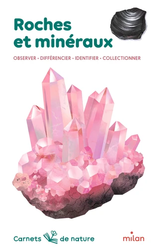 Roches et minéraux. Observer - Différentier - Identifier - Collectionner