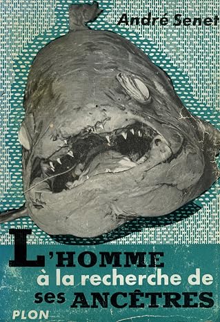L'homme à la recherche de ses ancêtres