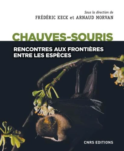 Les chauves-souris - Rencontres aux frontières entre les espèces 