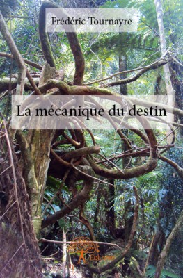 La mécanique du destin  (roman)