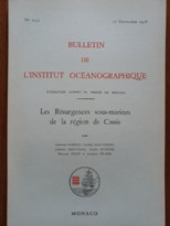 Les résurgences sous-marines de la région de Cassis - La Fontaine de Vaucluse
