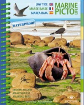 Picto life Marée basse – Atlantique Est - Guide d'identification multilingue des espèces sous-marines - Waterproof