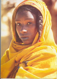 Tibesti - Terre interdite